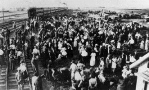 immigrants